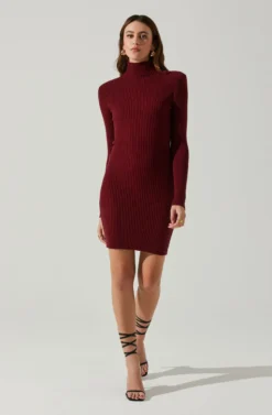 Gwendolyn Turtleneck Sweater Mini Dress -Barbie Clothing Shop ACDR100970SH WINE 1 scaled