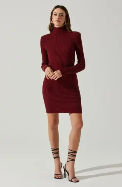 Gwendolyn Turtleneck Sweater Mini Dress -Barbie Clothing Shop ACDR100970SH WINE 2 scaled