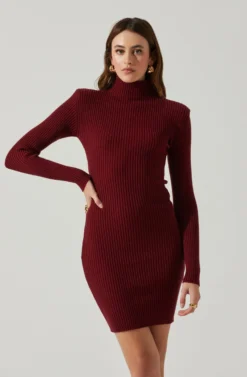 Gwendolyn Turtleneck Sweater Mini Dress -Barbie Clothing Shop ACDR100970SH WINE 3 scaled