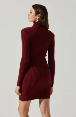 Gwendolyn Turtleneck Sweater Mini Dress -Barbie Clothing Shop ACDR100970SH WINE 5 scaled