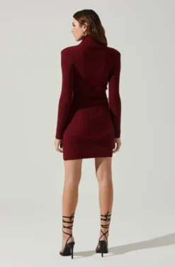 Gwendolyn Turtleneck Sweater Mini Dress -Barbie Clothing Shop ACDR100970SH WINE 6 scaled